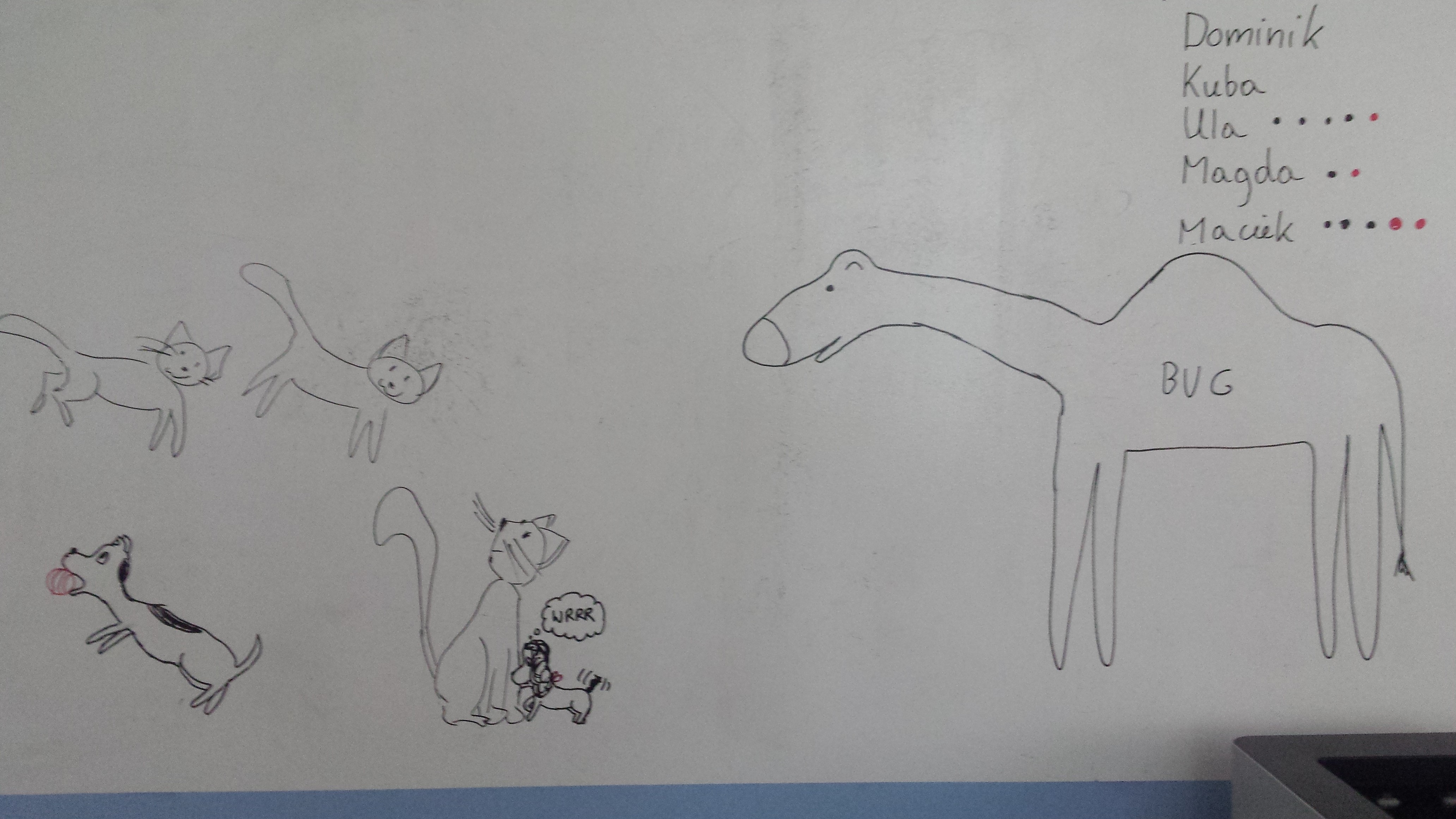 Coś do upolowania (Jak pies z kotem - odcinek 146) Po lewej stronie ekranu pies w trakcie skoku, łapiący w pysk piłkę. Nad nim dwa koty w powietrzu. Obok siedzi trzeci kot, patrzy na tamte dwa. Mała suczka gryzie kocią łapę, mówiąc "Wrrr". Wielbug patrzy na wszystko - Coś do upolowania (Jak pies z kotem - odcinek 146) - pies i kot