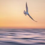 cytat na dziś - "Wolność nie jest ulgą, lecz trudem wielkości". L. Staff