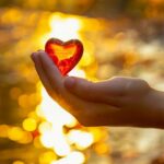 Dobrzy ludzie nigdy o siebie nie dbają cytat na dziś - "Dobrzy ludzie nigdy o siebie nie dbają. Tak jakby naprawdę nie byli dla tego świata". M. Dąbrowska