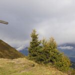 cytat na dziś - "Jeżeli ten najłaskawszy Oblubieniec waszej duszy ukrywa się, czyni to nie dlatego, jak sądzicie, że chciałby was ukarać za wasze niewierności, lecz dlatego, iż coraz bardziej próbuje On wierność i stałość waszą. Chce On jednocześnie dokładniej oczyścić waszą duszę z drobnych przywiązań uczuciowych, które są niewidoczne dla oczu ciała; myślę o tych przywiązaniach i winach, od których nawet człowiek sprawiedliwy nie jest wolny. Mówi bowiem Pismo Święte: «Prawy siedmiokroć upadnie». I wierzcie mi, że gdybym nie wiedział, iż tak bardzo cierpicie, cieszyłbym się mniej, ponieważ rozumiałbym, że Pan dał wam mniej pereł..." św. o. Pio z Pietrelciny