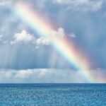 cytat na dziś - "Oto jest fiolet - drzewa cień idący żwirem, fiolet łączący miłość czerwieni z szafirem. - Tam brzóz różowa kora i zieleń wesoła, a w jej ruchliwej sukni nieb błękitne koła. A we mnie biało, biało, cicho, jednostajnie - bo noszę w sobie wszystkich barw skupioną tajnię. - O, jakże się w białości mojej bieli męczę - chcę barwą być - a któż mnie rozbije na tęczę?" M. Pawlikowska-Jasnorzewska "Barwy"