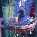 cytat na dziś - "Nie bój się zrobić czegoś głupiego. W najgorszym razie to po prostu nie zadziała". P. Shankman