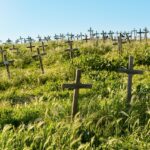 cytat na dziś - "Małe krzyżyki są całą naszą radością, spotyka się je częściej niż wielkie, a one przygotowują serce na przyjęcie wielkich krzyży, gdy taka będzie wola naszego Dobrego Mistrza (L 126, LT 148)". św. Teresa od Dzieciątka Jezus "Modlitwy i myśli"