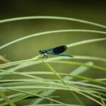 cytat na dziś - "«Ty jesteś niezwykle kochana», kochana tą szczególną miłością, jaką tu na ziemi Mistrz miał dla kilku, których wyniósł tak wysoko. On nie mówi do ciebie tak jak do Piotra: «Czy miłujesz Mnie więcej aniżeli ci?». Matko, posłuchaj, co On ci mówi: «Pozwól ciebie miłować bardziej aniżeli innych! To znaczy, bez obawy, że jakaś przeszkoda stanie się w tym utrudnieniem, albowiem jestem wolny w rozlewaniu mojej miłości na tych, na których chcę! Pozwól ciebie miłować bardziej aniżeli tych; to jest twoje powołanie, i tylko gdy będziesz mu wierna, uczynisz mnie szczęśliwym, albowiem uwielbisz potęgę mojej miłości. Ta miłość potrafi odtworzyć to, co ty niszczysz: Pozwól ciebie miłować bardziej niż innych»". św. Elżbieta od Trójcy Świętej "Pozwól ciebie miłować"