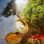 cytat na dziś - "Nigdy nie rezygnuj z celu tylko dlatego, że osiągnięcie go wymaga czasu. Czas i tak upłynie". H. J. Brown Jr.