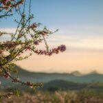 cytat na dziś - "Kontemplacja jest celem, który mamy osiągnąć, ukoronowaniem dokonanego przygotowania, trudnym jednak do zrealizowania, albowiem dokonuje się przez walkę w każdej chwili. Jest ona również i nagrodą". O. Gabriel od św. Marii Magdaleny "Na drogach życia..."