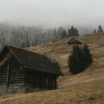 cytat na dziś - "Stajemy się w pełni ludzcy, gdy przekraczamy nasze ludzkie ograniczenia, gdy pozwalamy Bogu poprowadzić się poza nas samych, aby dotrzeć do naszej prawdziwej istoty". papież Franciszek, adh "Evangelii gaudium"