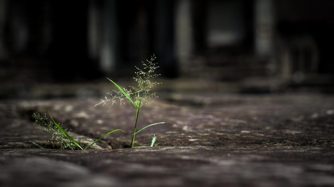 Odwaga nie polega na nieodczuwaniu strachu