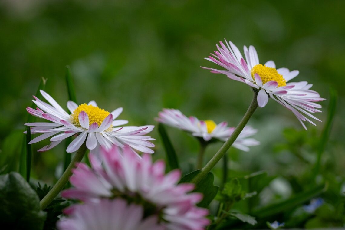 Tylko Jego miłość daje nam możliwość