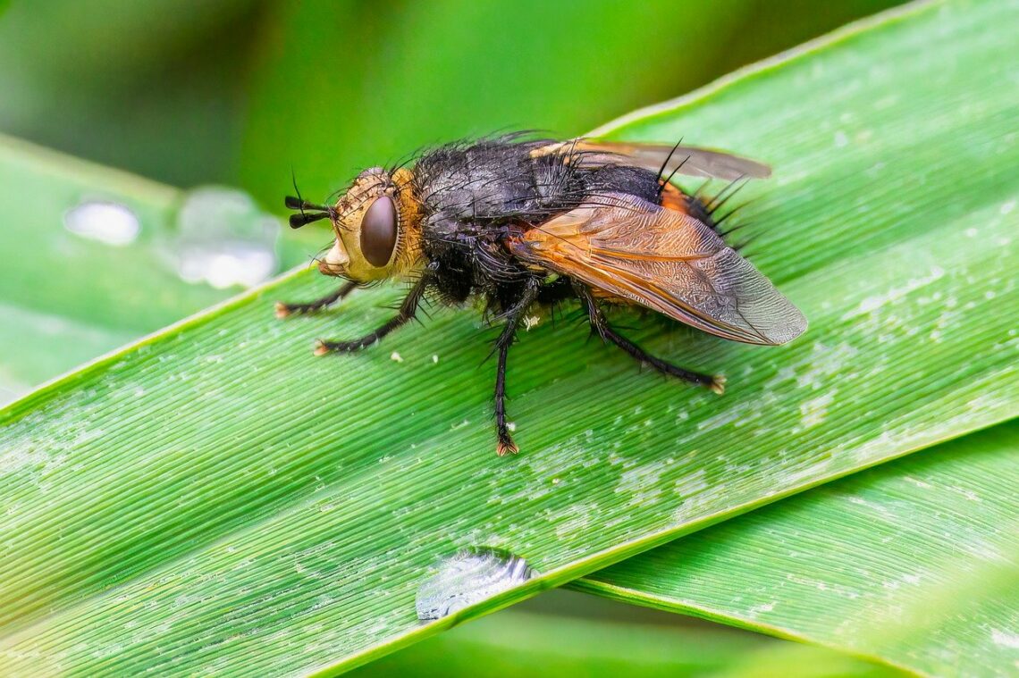 Czasami to, co wydaje się człowiekowi czymś gorszym…