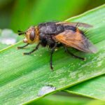 cytat na dziś - "Czasami to, co wydaje się człowiekowi czymś gorszym, w oczach Boga posiada wartość największą". M. Filipowski OCDS "Doktryna św. Teresy od Jezusa - Droga doskonałości 15-23"