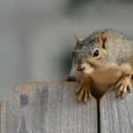 cytat na dziś - "Tymczasem, im więcej żądamy od Boga, tym mniej od Niego otrzymujemy". T. Głowacka OCDS "Doktryna św. Teresy od Jezusa - Zamek wewnętrzny - trzy pierwsze mieszkania"