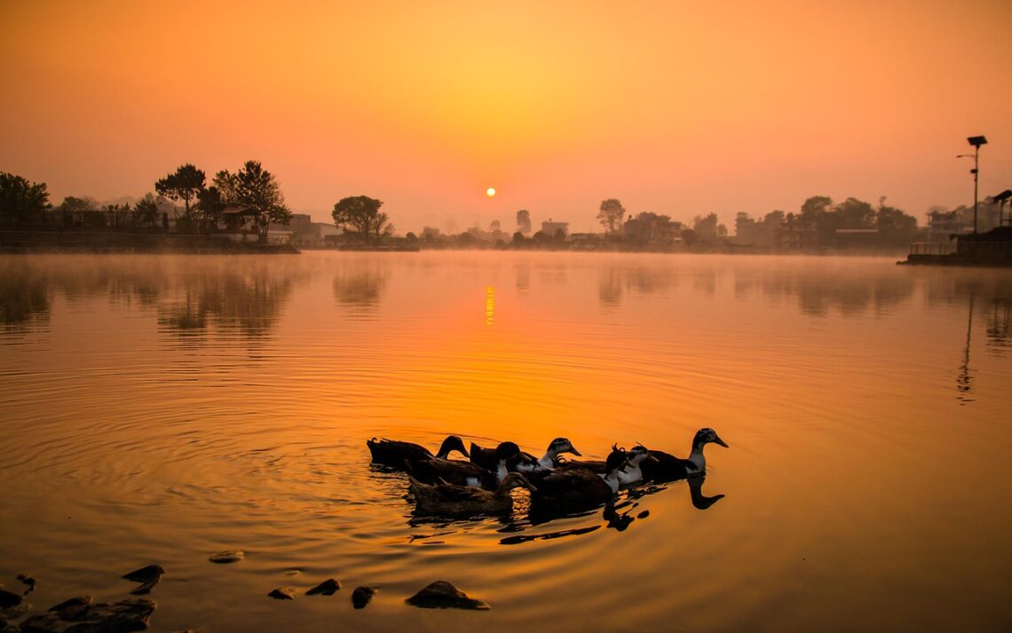 Trzeba nieustannie kontemplować