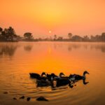 cytat na dziś - "Trzeba nieustannie kontemplować piękno Ojca i nasycać nim naszą duszę". św. Grzegorz z Nyssy