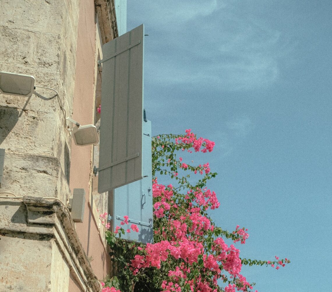 Jednocześnie chrześcijanie żyjący w świecie…