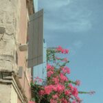 cytat na dziś - "Jednocześnie chrześcijanie żyjący w świecie i gorąco naśladujący Chrystusa mają pokazać, że istnieje całkowita zgodność pomiędzy naśladowaniem Go a wypełnianiem zadań, do których są zobowiązani ze względu na swoje funkcje świeckie". V. Plichta "Udział świeckich w trzech funkcjach Chrystusa: kapłańskiej, prorockiej i królewskiej"