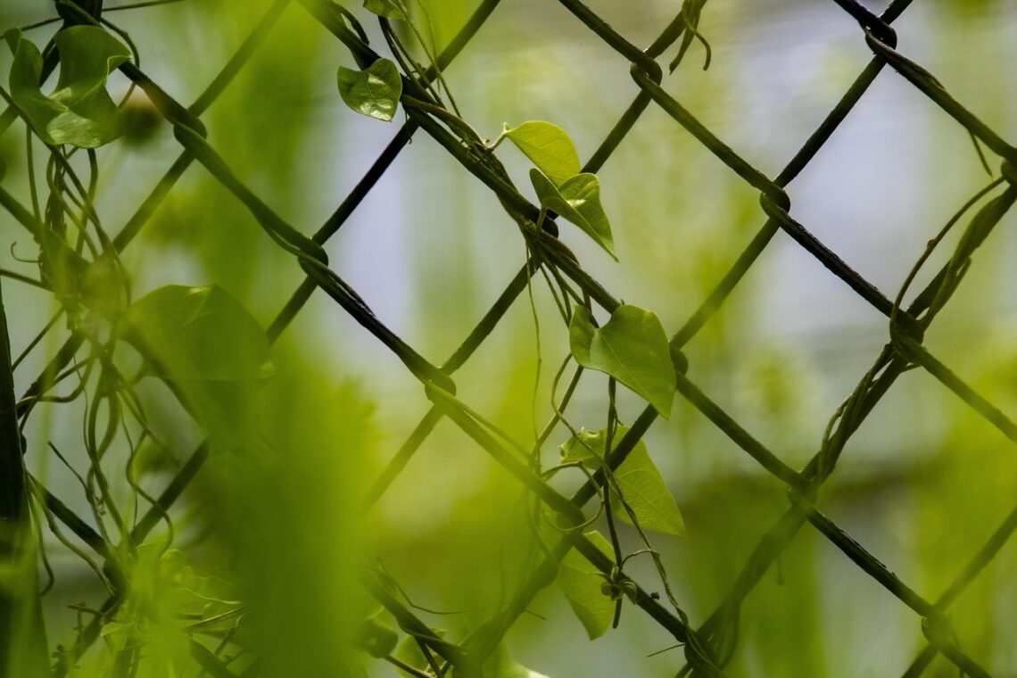 Jakże jestem szczęśliwa