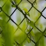 cytat na dziś - "Jakże jestem szczęśliwa, że jestem na zawsze więźniem Karmelu. Nie mam ochoty jechać do Lourdes, aby mieć ekstazy. Wolę monotonię WYRZECZENIA! Jakież to szczęście być tak doskonale ukrytym, by nikt nie pomyślał o nas!... być nieznaną nawet dla osób, które żyją z nami...". św. Teresa od Dzieciątka Jezus, list 106 do siostry Agnieszki od Jezusa