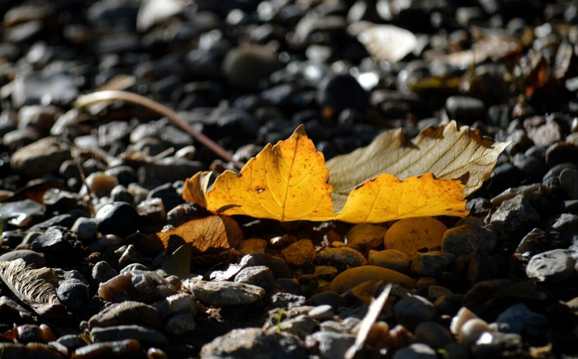 Widocznie bardzo przebiegły jest szatan