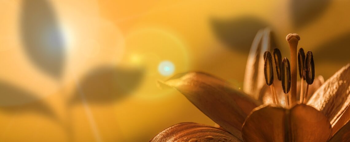 Każde nowe cierpienie