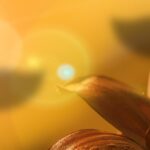 cytat na dziś - "Każde nowe cierpienie, każda trwoga serca, to niejako lekki zefir, który zanosi Jezusowi woń Jego lilii, wówczas On uśmiecha się z miłością i przygotowuje nową gorycz. Napełnia kielich aż po brzegi w tej myśli, że im więcej lilia wzrasta w miłości, tym bardziej wzrastać powinna w cierpieniu!". św. Teresa od Dzieciątka Jezus, list 83 do Celiny