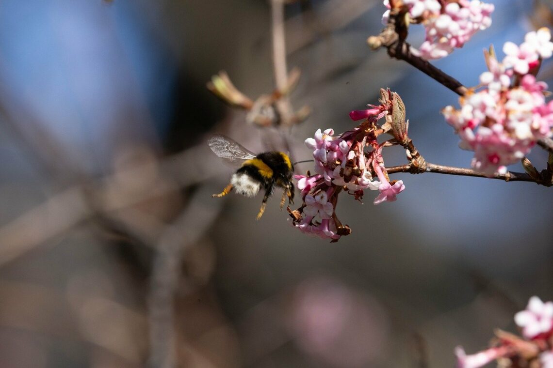 Męczy się i trudzi dusza oddana pożądaniom