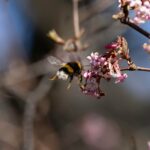 Męczy się i trudzi dusza oddana pożądaniom cytat na dziś - "Męczy się i trudzi dusza oddana pożądaniom, bo trawi ją pragnienie, tak jak gorączka trawi człowieka chorego, który nie poczuje się lepiej, dopóki ona nie ustąpi". św. Jan od Krzyża "Droga na Górę Karmel" I 6.6