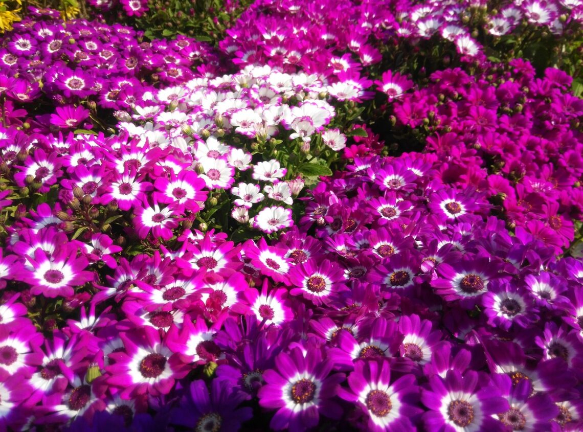 Dla lepszego zrozumienia