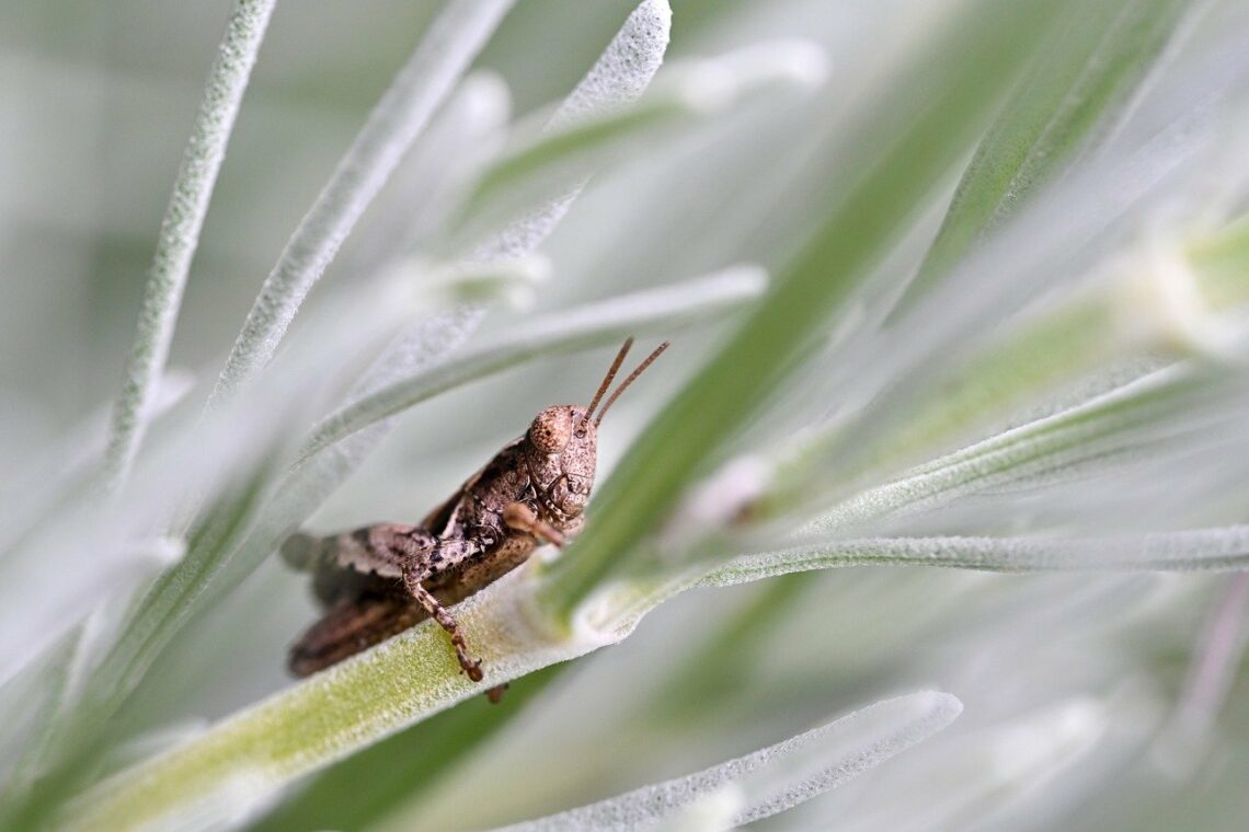 Bardziej niż kiedykolwiek rozumiem