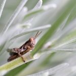 cytat na dziś - "Bardziej niż kiedykolwiek rozumiem, że najmniejsze przypadki w naszym życiu kierowane są ręką Boga, On budzi nasze pragnienia i On także je spełnia...". św. Teresa od Dzieciątka Jezus, list 201 do ojca Roullanda