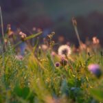 cytat na dziś - "Jak człowiek rozmiłowany, gdy w dniu nadziei spotkał się z zawodem, tak również dusza męczy się i trudzi zaspokajaniem swych pożądań, bo one sprawiają w niej tylko większą pustkę i głód". św. Jan od Krzyża "Droga na Górę Karmel" I 6.6