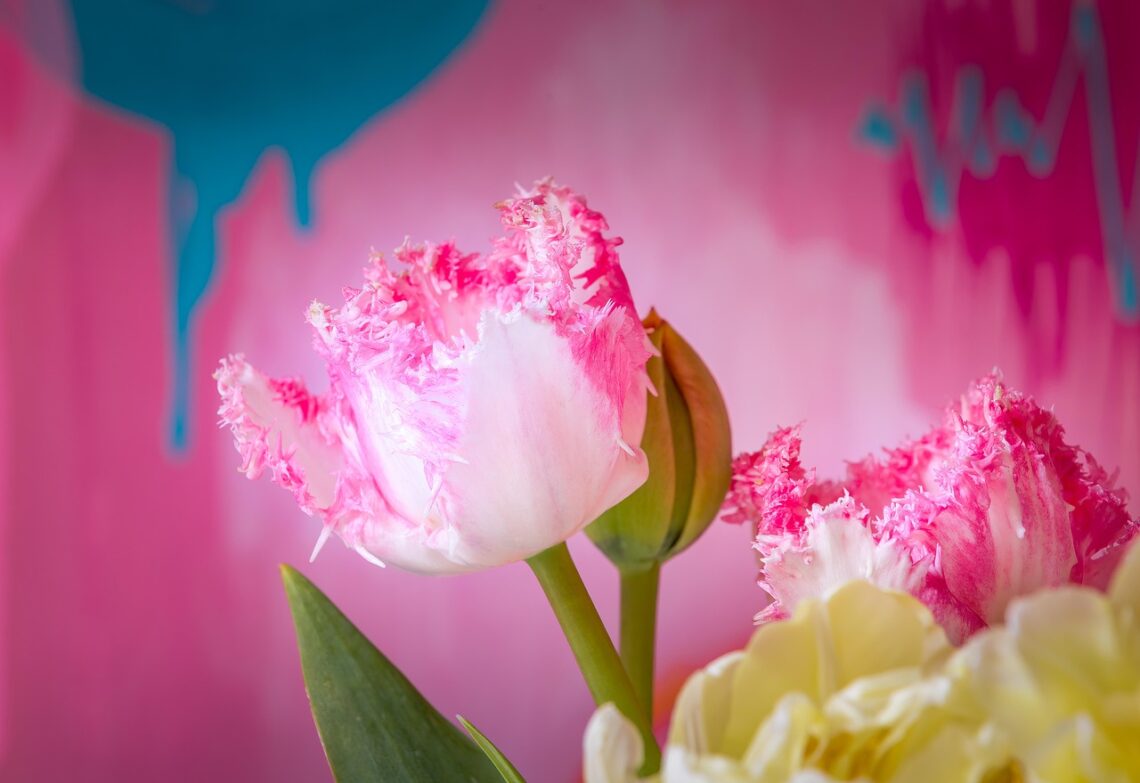 Męczy się i trudzi dusza ulegająca swoim pożądaniom