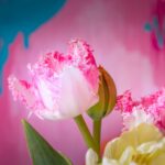 cytat na dziś -"Męczy się i trudzi dusza ulegająca swoim pożądaniom, ponieważ jest przez nie raniona, poruszana i niepokojona jak woda przez wiatry, i nie pozwolą jej uspokoić się na żadnym miejscu ani w żadnej rzeczy. [...] Dlatego nieszczęśliwy jest człowiek, jeśli nie zwycięża pożądań". św. Jan od Krzyża "Droga na Górę Karmel" I 6.6