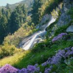 cytat na dziś - "Mój Ukochany jest jak gór wyżyny, Jak samotne doliny wśród gajów tonące, Jak wyspy osobliwe, Jak potoki rozgłośnie szumiące, Jak tchnienie wiatru miłośnie wiejące. Jak noc w spoczynku cichym pogrążona, W chwili gdy się rozlewa blask zorzy rumiany, Jak muzyka ciszą przepojona, Samotność, w której brzmią organy, Uczta, co moc i miłość daje na przemiany". św. Jan od Krzyża "Pieśń duchowa", strofy 14 i 15