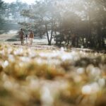 Lubię dostrzegać świętość w cierpliwym ludzie Bożym cytat na dziś - "Lubię dostrzegać świętość w cierpliwym ludzie Bożym: w rodzicach, którzy z wielką miłością pomagają dorastać swoim dzieciom, w mężczyznach i kobietach pracujących, by zarobić na chleb, w osobach chorych, w starszych zakonnicach, które nadal się uśmiechają. W tej wytrwałości, aby iść naprzód, dzień po dniu, widzę świętość Kościoła walczącego". papież Franciszek "Gaudete et exsultate" 1.7