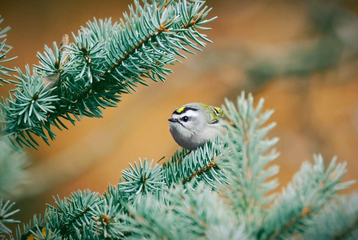 Słusznie więc postępuje Bóg w ten sposób