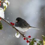 cytat na dziś - "[...] gdyby dusza zawsze była zjednoczona z wolą Bożą, rzecz jasna, że nigdy by zbłądzić ani zginąć nie mogła. Ale podchodzi ją diabeł swymi subtelnymi fortelami, i pod pozorem dobrego, po cichu i nieznacznie, pociąga ją najpierw do małych niewierności. Potem namawia do większych, wmawiając w nią, że nic w nich nie ma złego, powoli rozum jej zaciemnia i wolę oziębia, i starą miłość własną do życia pobudza, i tak, krok za krokiem oddala się od woli Bożej, a przystaje do swojej". św. Teresa od Jezusa "Twierdza wewnętrzna" V 4.8