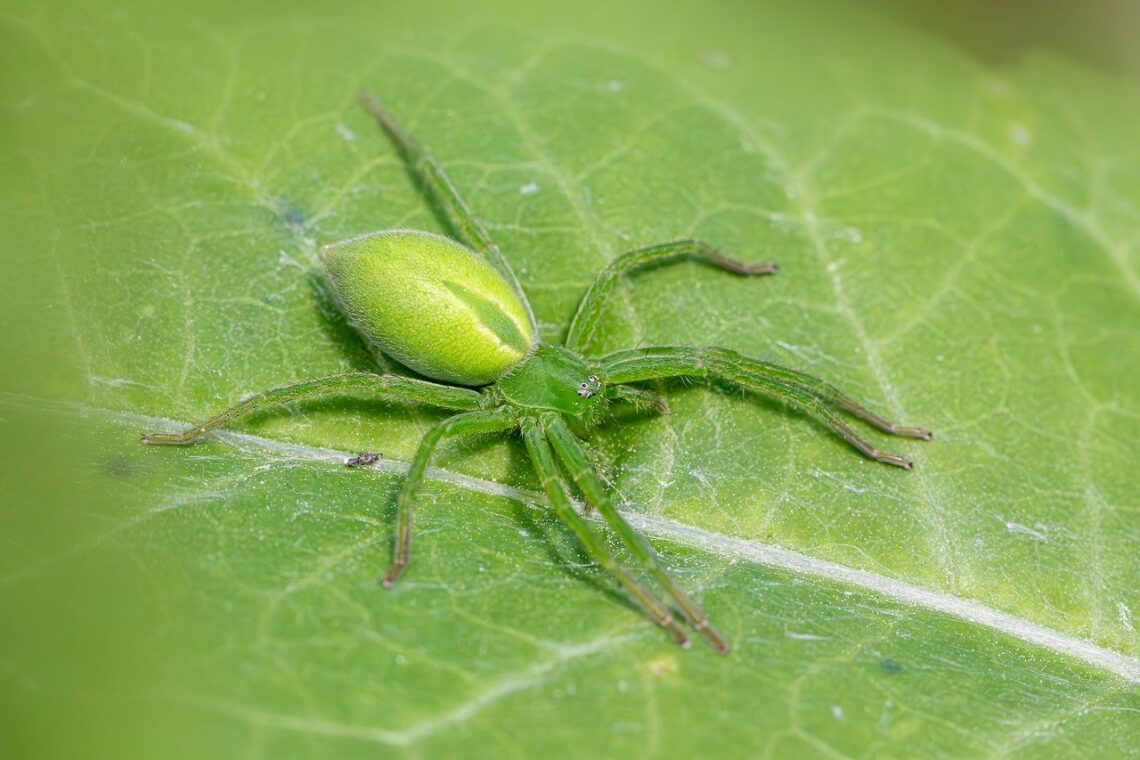Zwodzi nas przyzwyczajenie