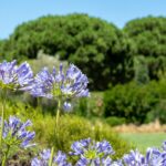 Jesteś letni cytat na dziś - "Jesteś letni, jeśli leniwie i niechętnie wypełniasz to, co odnosi się do Pana; jeśli z wyrachowaniem i przebiegłością starasz się ograniczyć swoje obowiązki; jeśli myślisz tylko o sobie i o własnej wygodzie; jeśli twoje rozmowy są czcze i próżne; jeśli nie czujesz wstrętu do grzechu powszedniego; jeśli działasz jedynie z ludzkich pobudek". św. J. Escriva "Droga"