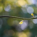 cytat na dziś - "Niech jednak pamięta, że bez tego naginania woli, do którego w tym zakątku klasztornym obfitą co dzień znajdzie sposobność, modlitwa, chociażby tego pragnęła, nie przyniesie jej wielkiego pożytku". św. Teresa od Jezusa "Twierdza wewnętrzna" VII 4.7