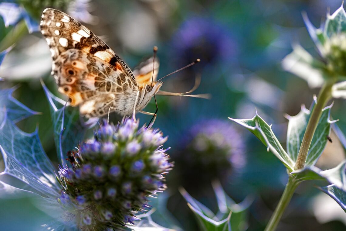 Robiąc rzeczy małe