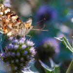 cytat na dziś - "Robiąc rzeczy małe, musisz myśleć o rzeczach wielkich po to, by wszystkie rzeczy małe szły w dobrym kierunku". A. Toffler