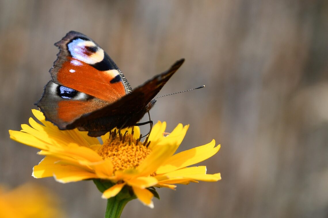 Pan tego tylko od nas żąda