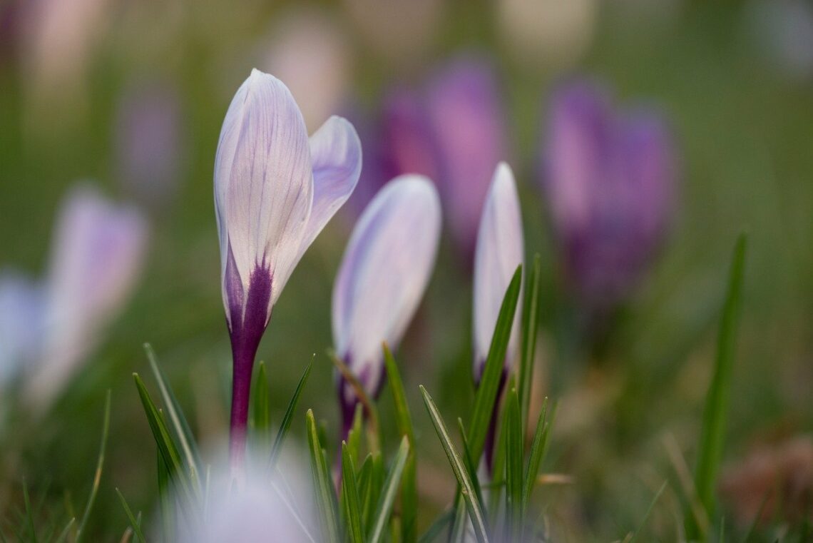 Jakże mi ciebie żal, dopóki nie poczujesz skruchy
