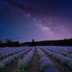 cytat na dziś - "Nie ma łatwej drogi z ziemi ku gwiazdom". Seneka