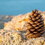 cytat na dziś - "Wiem dobrze, że unikasz grzechów śmiertelnych. - Chcesz osiągnąć zbawienie! - Ale nie martwi cię to, że ciągle świadomie popadasz w grzechy powszednie, mimo że czujesz Boże wezwanie do przezwyciężania się w każdym przypadku. - Twoja letniość jest przyczyną tej złej woli". św. J. Escriva "Droga"