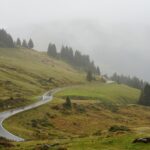 cytat na dziś - "Wiemy, jaką drogą iść nam trzeba, aby spodobać się Bogu. Jest to droga przykazań i Jego rad. Tą drogą idźmy z całą, na jaką nas stać pilnością, rozpamiętywując przy tym życie i śmierć Zbawiciela i jak wiele jesteśmy Mu dłużni, reszta zaś sama przyjdzie, gdy Pan zechce". św. Teresa od Jezusa "Twierdza wewnętrzna" VI 6.7