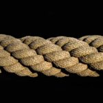 cytat na dziś - "Początek każdego przyzwyczajenia jest jak niewidzialna nitka, ale za każdym razem, gdy powtarzamy czynność, dodajemy kolejne włókna, aż otrzymamy grubą linę, która nieodwracalnie połączy nasze myśli i działania". O. S. Marden