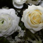 cytat na dziś - "Poprawiaj się. - Każdego dnia troszeczkę. - Na tym polega twoja ciągła praca, jeśli naprawdę chcesz zostać świętym". św. J. Escriva "Droga"