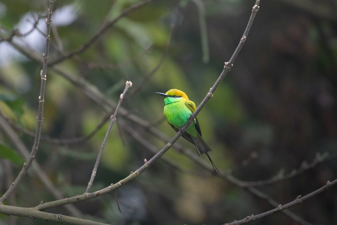 Nie chciej spełniać swojej woli